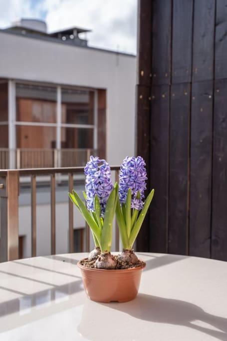 New Loft With Rooftop Terrace In The Old Town Riga Exterior photo